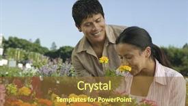  Presentation with nursery plant - Beautiful slides featuring decisionmaking - couple shopping at plant nursery backdrop and a tawny brown colored foreground