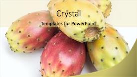  Presentation with noni fruit and noni fruit powder - Colorful presentation enhanced with opuntia fruit or prickly pear backdrop and a blonde colored foreground