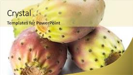  Presentation with cartoon fruit - Slides having opuntia fruit or prickly pear background and a yellow colored foreground