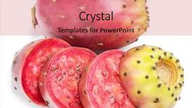  Presentation with fruit - Audience pleasing theme consisting of opuntia fruit or prickly pear backdrop and a coral colored foreground