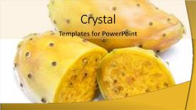  Presentation with sour sop fruit - Slides enhanced with opuntia fruit or prickly pear background and a yellow colored foreground