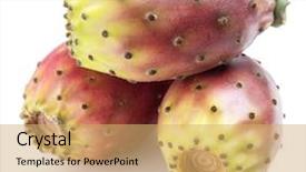  Presentation with pear - Cool new slide set with opuntia fruit or prickly pear backdrop and a yellow colored foreground