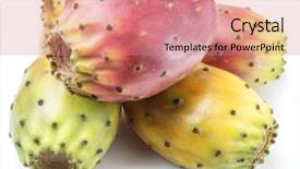  Presentation with fruit leafy greens dairy - Cool new slides with opuntia fruit or prickly pear backdrop and a coral colored foreground
