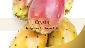  Presentation with pear - Presentation design consisting of opuntia-fruit-or-prickly-pear background and a yellow colored foreground