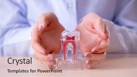  Presentation with orthodontics orthodontic model and dentist - Amazing presentation design having oral health education - dentist practicing work on tooth backdrop and a coral colored foreground