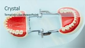  Presentation with jaw - Audience pleasing PPT layouts consisting of oral health education - jaw teeth model backdrop and a sky blue colored foreground