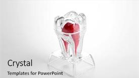  Presentation with hygiene - Beautiful PPT theme featuring oral hygiene - human tooth model isolated backdrop and a light gray colored foreground