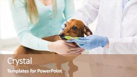  Presentation with dog oral - Amazing theme having oral hygiene - medicine pet animals health care backdrop and a coral colored foreground