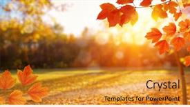  Presentation with leaves - Amazing PPT theme having orange - autumn leaves on the sun backdrop and a gold colored foreground