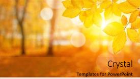  Presentation with fall leaves - Cool new presentation with orange - autumn leaves on the sun backdrop and a gold colored foreground