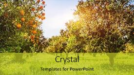  Presentation with green beauty - Presentation having orange - impressive view of green garden background and a gold colored foreground