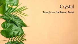  Presentation with leaves flat lay - Slide deck consisting of orange - tropical leaves on color background background and a blonde colored foreground