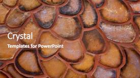  Presentation with shape - Colorful theme enhanced with orange and brown fish scale backdrop and a red colored foreground