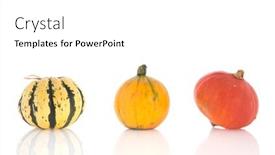  Presentation with orange green white - Colorful theme enhanced with orange and green pumpkins in basket isolated over white background backdrop and a white colored foreground