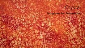  Presentation with vein - Amazing presentation theme having orange-and-red-vein-background backdrop and a red colored foreground