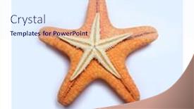  Presentation with blue orange white - Slide deck with orange-and-white-starfish background and a sky blue colored foreground