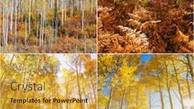  Presentation with yellow orange - Colorful theme enhanced with orange-and-yellow-autumn-collage backdrop and a gold colored foreground