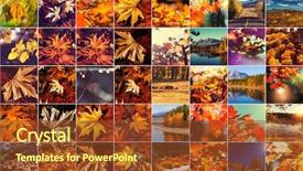  Presentation with multicolored autumn leaves orange yellow red - PPT layouts consisting of orange and yellow autumn collage background and a  colored foreground