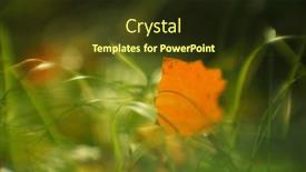  Presentation with green leaf - PPT layouts having orange-autumn-leaf-in-green and a tawny brown colored foreground