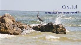  Presentation with blue orange - Slide set with orange-beach-al-june-10 background and a  colored foreground