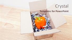  Presentation with pepper - 