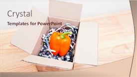  Presentation with pepper - 