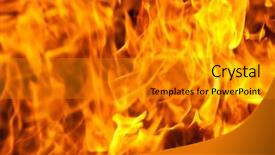  Presentation with elements - Colorful PPT layouts enhanced with last month of the year backdrop and a seafoam green colored foreground.