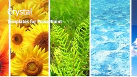  Presentation with structural elements - Colorful PPT theme enhanced with sunflower rainbow - collection of banner with nature backdrop and a tawny brown colored foreground
