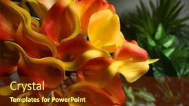  Presentation with calla - PPT layouts having orange-calla-lilies-wedding-decorations background and a tawny brown colored foreground