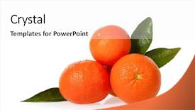  Presentation with orange - Audience pleasing PPT layouts consisting of orange clementines tangerines or mandarines backdrop and a  colored foreground