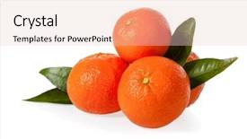  Presentation with orange - PPT theme consisting of orange clementines tangerines or mandarines background and a  colored foreground