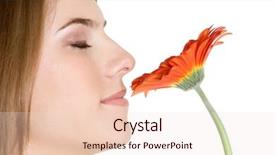  Presentation with hospice flower - Colorful slides enhanced with orange daisy - girl smelling flower backdrop and a  colored foreground