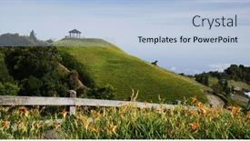  Presentation with lily flower - PPT theme enhanced with orange-day-lily-flower-field background and a light blue colored foreground