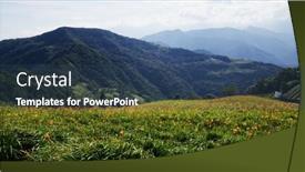  Presentation with lily flower - Presentation enhanced with orange-day-lily-flower-field background and a ocean colored foreground