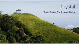  Presentation with lily flower - PPT theme having orange-day-lily-flower-field background and a sky blue colored foreground