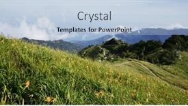  Presentation with lily flower - Slides with orange-day-lily-flower-field background and a light blue colored foreground