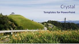  Presentation with lily flower - Theme having orange-day-lily-flower-field background and a  colored foreground