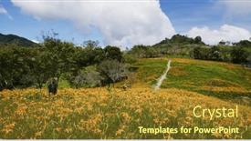  Presentation with lily flower - PPT layouts enhanced with orange-day-lily-flower-field background and a tawny brown colored foreground
