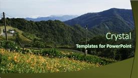  Presentation with lily flower - PPT layouts featuring orange-day-lily-flower-field background and a  colored foreground