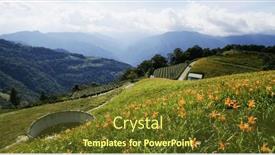  Presentation with lily flower - PPT theme consisting of orange-day-lily-flower-field background and a tawny brown colored foreground