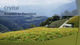  Presentation with lily flower - Slide set consisting of orange-day-lily-flower-field background and a light blue colored foreground