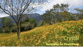  Presentation with lily flower - PPT theme having orange-day-lily-flower-field background and a tawny brown colored foreground