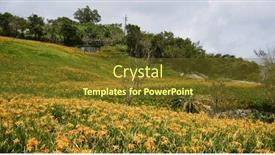  Presentation with lily flower - Slide deck enhanced with orange-day-lily-flower-field background and a tawny brown colored foreground