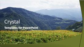  Presentation with lily flower - Presentation having orange-day-lily-flower-field background and a ocean colored foreground