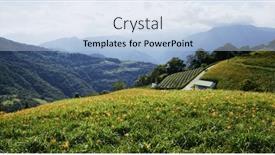  Presentation with lily flower - Presentation theme enhanced with orange-day-lily-flower-field background and a light blue colored foreground