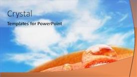  Presentation with blue drops - Audience pleasing PPT theme consisting of orange-flower-petals-with-water backdrop and a light blue colored foreground