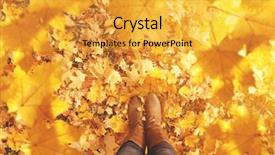  Presentation with fall leaves - PPT layouts enhanced with orange foot - fall autumn leaves legs background and a gold colored foreground