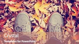  Presentation with fall leaves - Audience pleasing presentation consisting of orange foot - feet during fall when backdrop and a coral colored foreground
