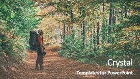  Presentation with filter - Beautiful presentation theme featuring orange forest on autumn season toned like instagram filter backdrop and a violet colored foreground