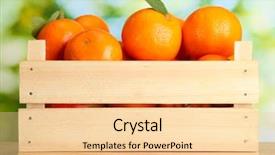  Presentation with orange fruit - Cool new PPT layouts with orange fruit - ripe tasty tangerines with leaves backdrop and a lemonade colored foreground